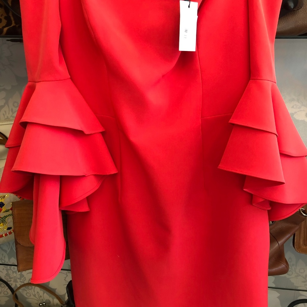 MILLY Cherry Red Double Ruffle SELENA Dress - Picture 6 of 8